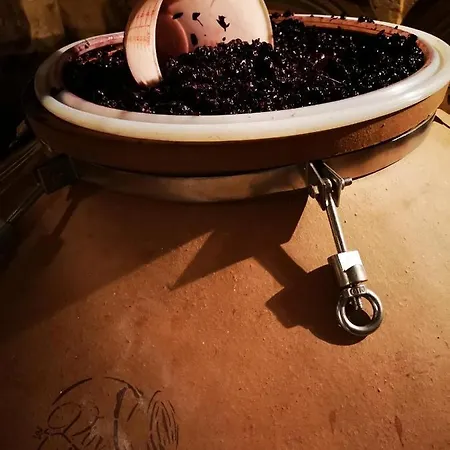 Chateau Cantelaube Σπίτι διακοπών