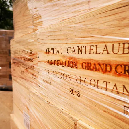 Chateau Cantelaube Σπίτι διακοπών Σεντ Εμιλιόν