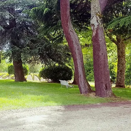 Chateau Cantelaube Saint-Emilion