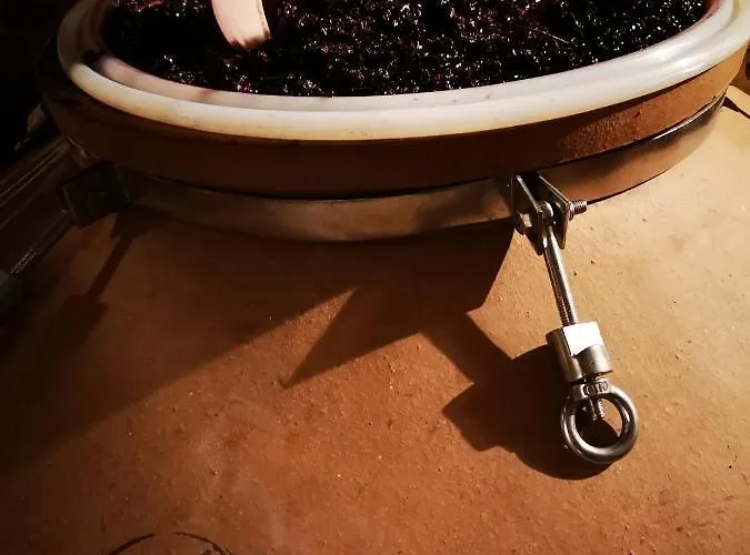 Chateau Cantelaube Vakantiehuis