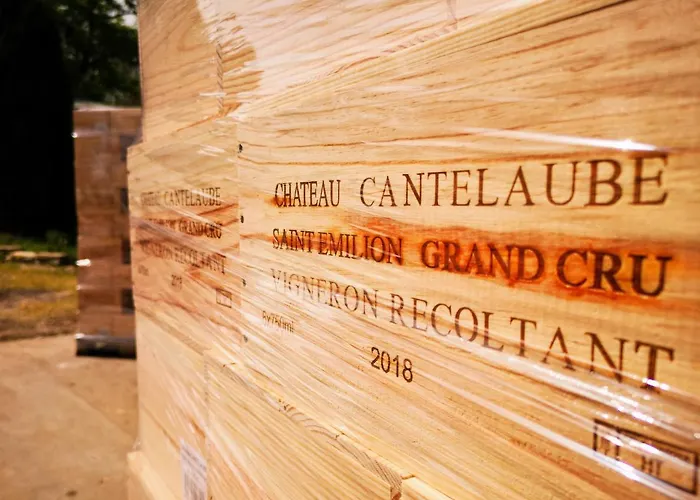 Chateau Cantelaube Vakantiehuis Saint-Émilion