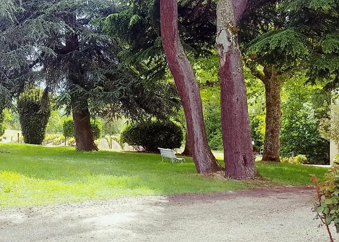 Chateau Cantelaube Saint-Émilion